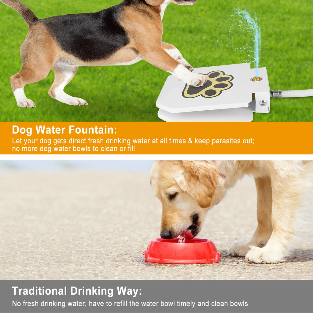 White dog water fountain pedal with paw graphic, water spurting from outlet