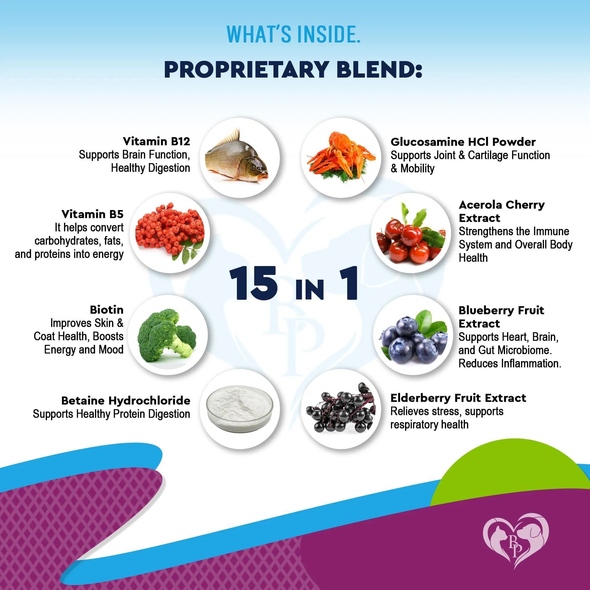15-in-1 multivitamin proprietary blend ingredient list with vitamin and extract icons