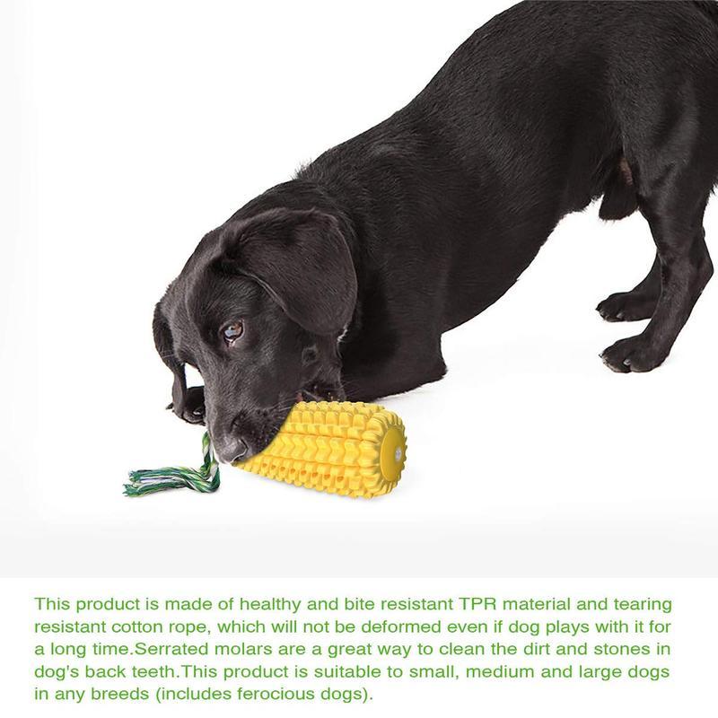 Yellow ridged corn chew toy with green cotton rope tail held by a black dog