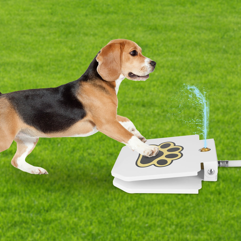 White dog water fountain with paw-print pedal, dog paw pressing to spray water