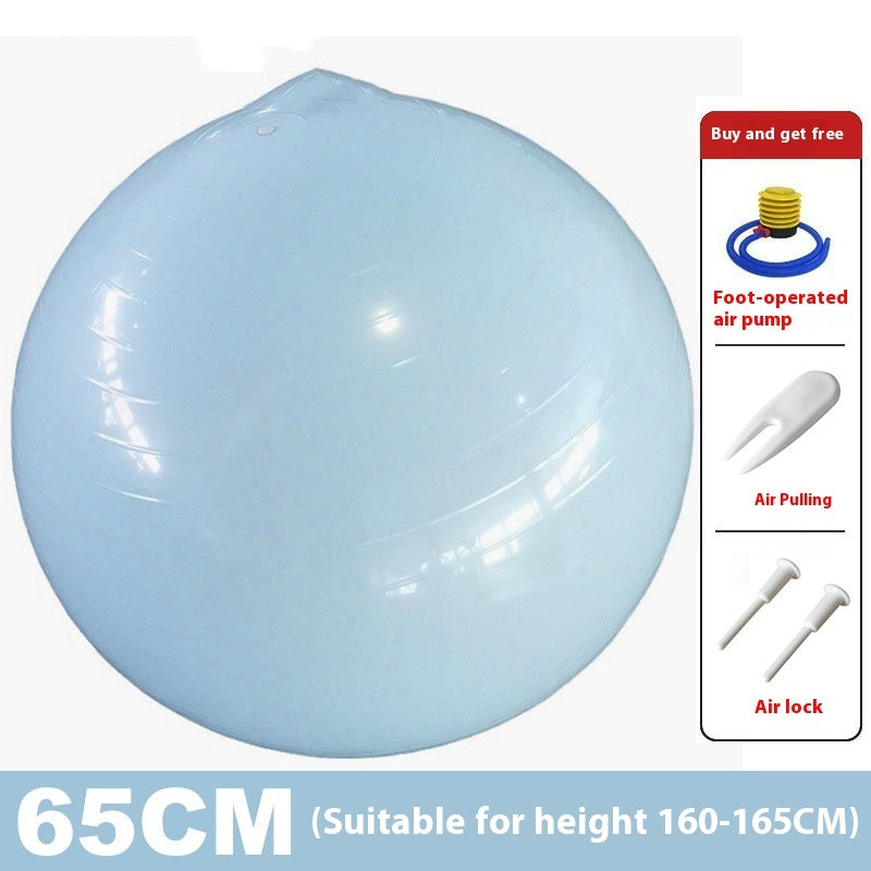 GetActive Exercise Ball 55cm | Anti-Burst Fitness & Stability Training