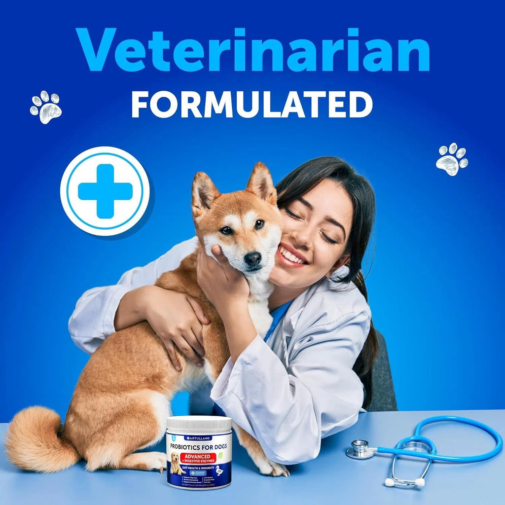 Veterinarian holding a Shiba puppy next to a dog probiotic container