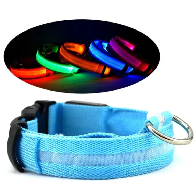 Blue LED pet safety collar with woven strap, metal D-ring, and black buckle