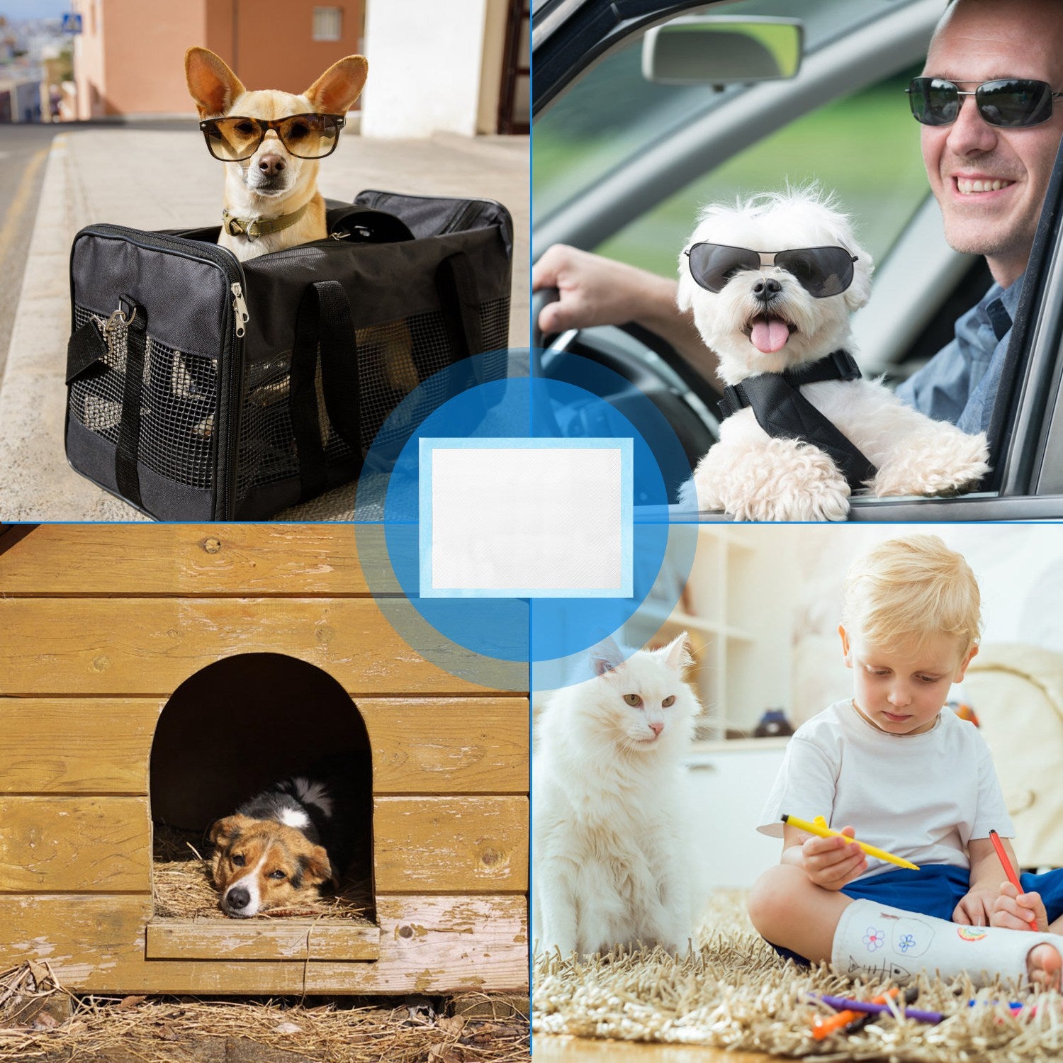Blue-bordered training pad for pet potty training in home indoor areas
