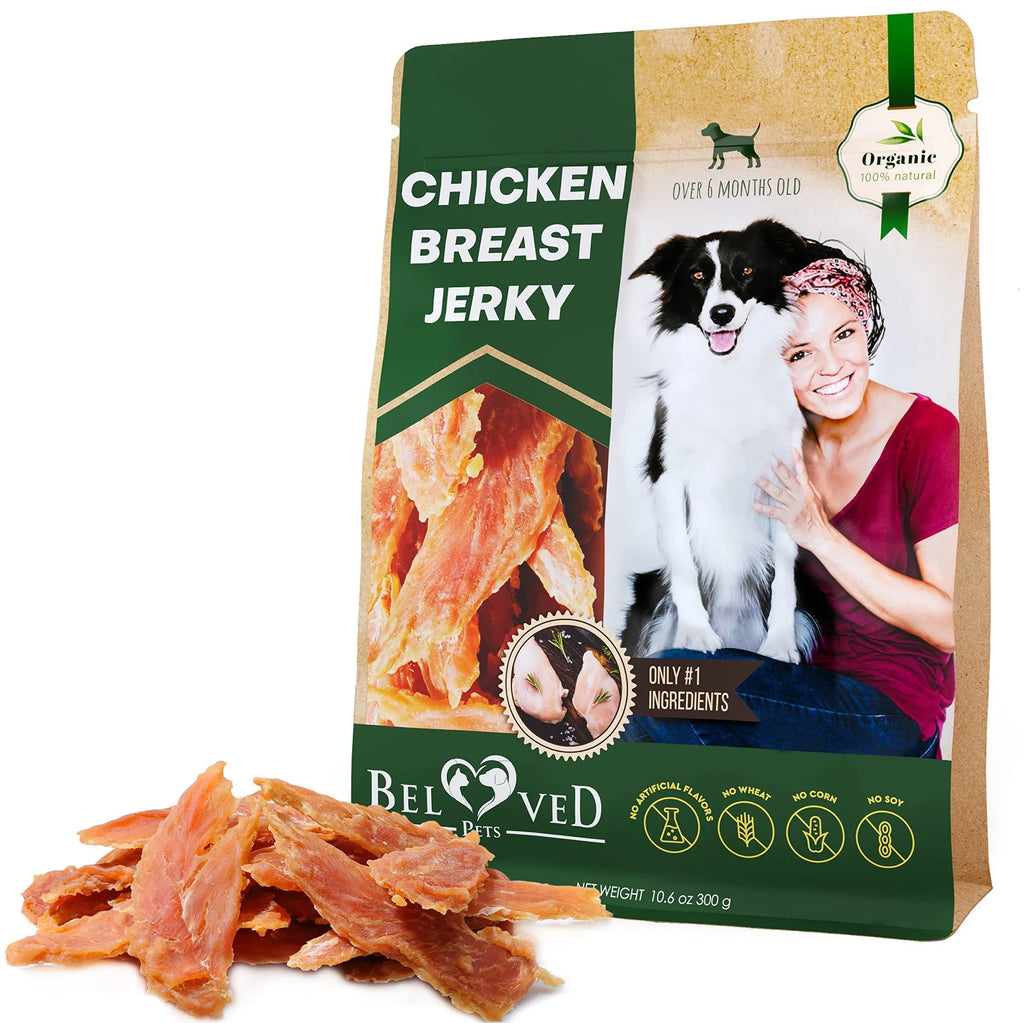 Chicken breast jerky dog treats pouch with dog and woman on front