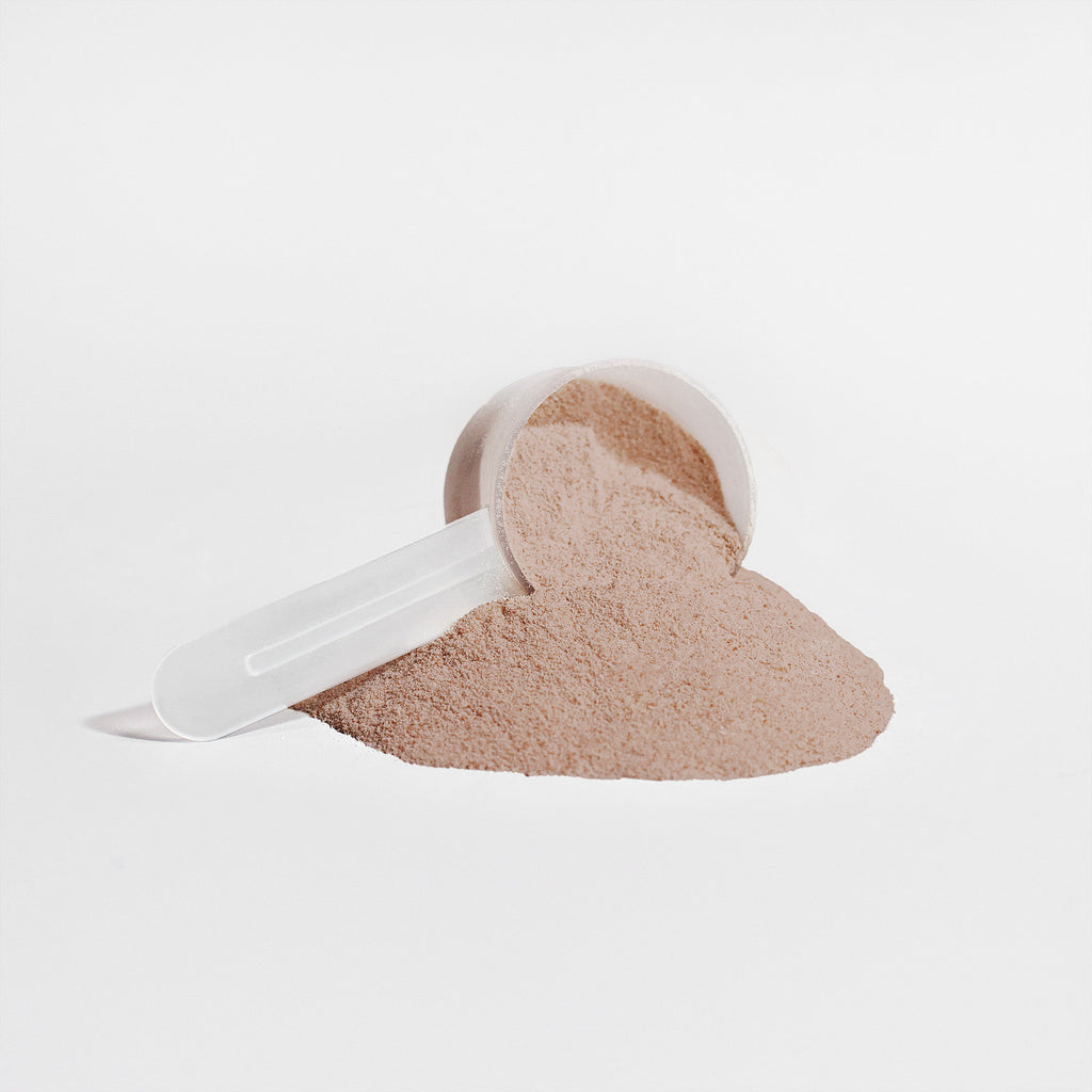 Chocolate plant protein powder scoop, light brown powder with scoop and container