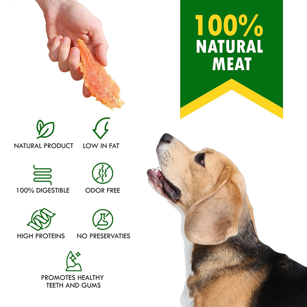 Hand holding a chicken jerky treat strip over dog