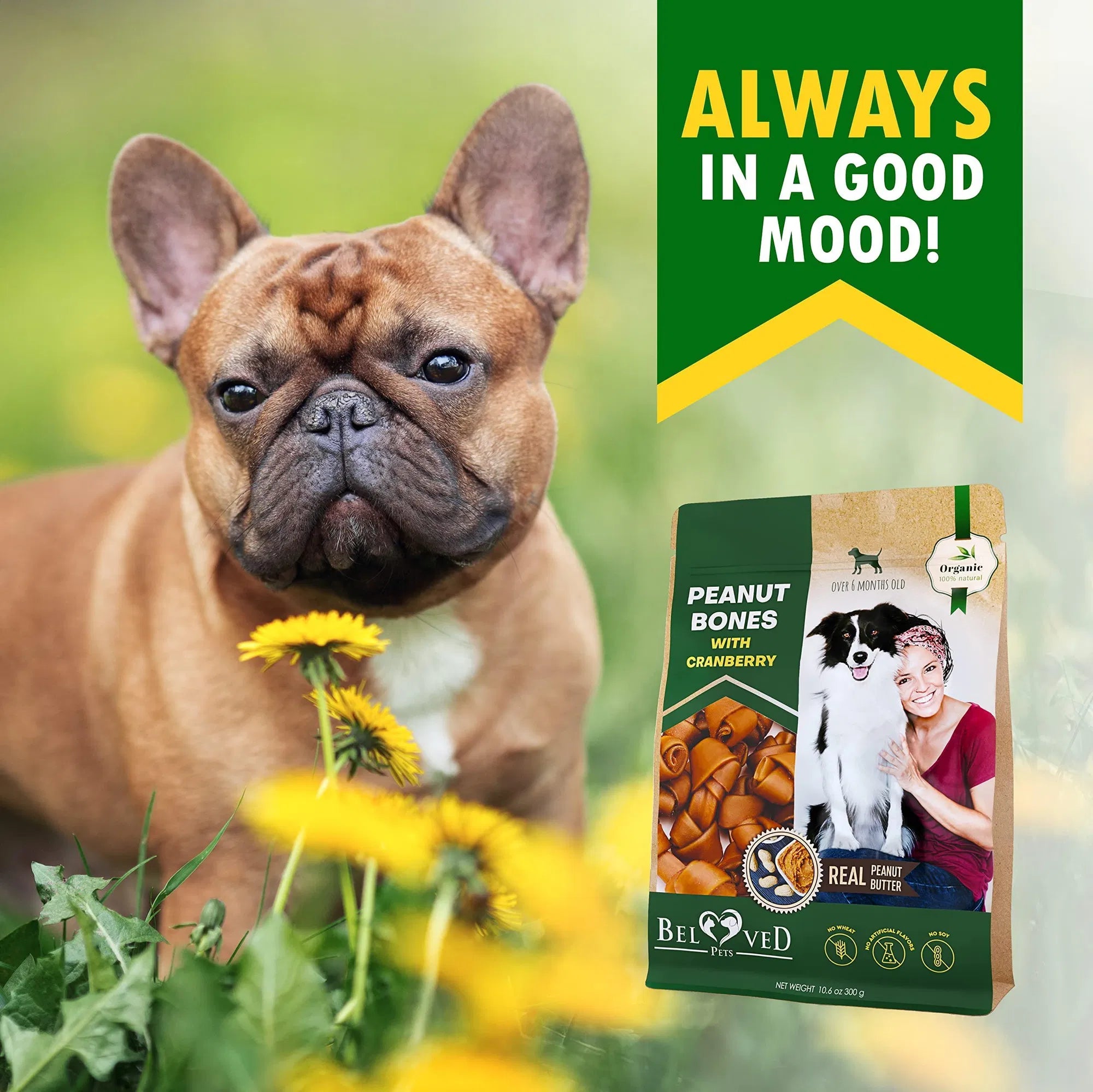 French bulldog beside peanut butter & cranberry dog bones chew bag