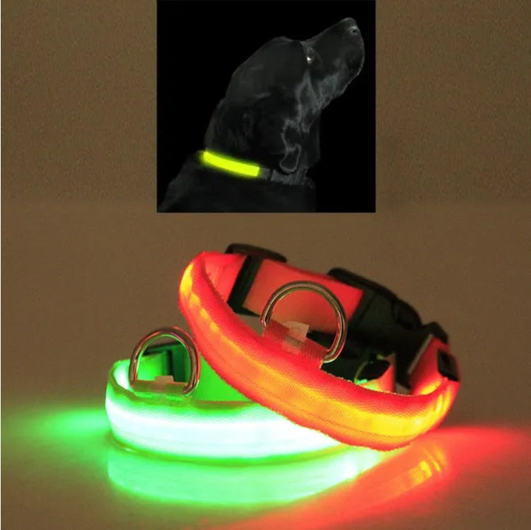 LED pet safety collar with orange-red and green glowing halo strips and metal D-rings