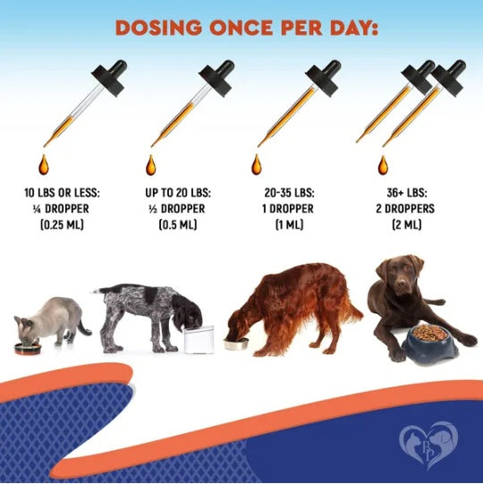 Pet probiotic & prebiotic dosing guide with dropper amounts