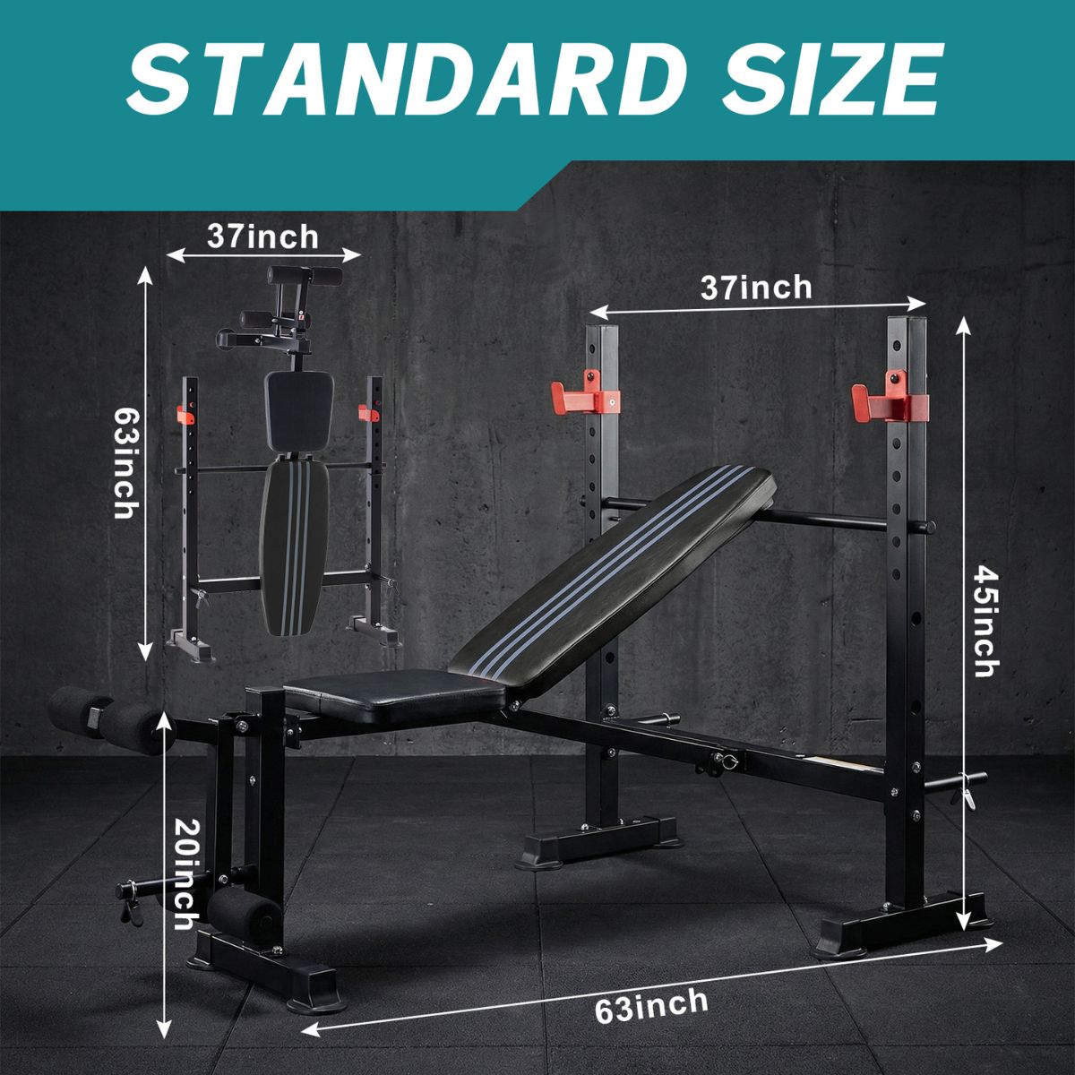 Standard size diagram of black bench press rack with leg extension and padded bench