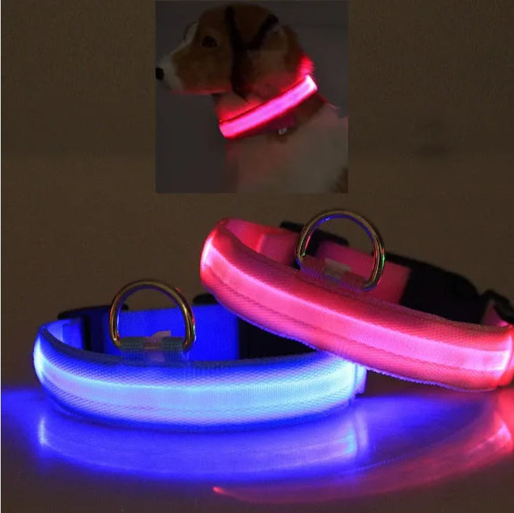 LED pet safety collar with glowing light blue and pink halo strips, metal D-rings