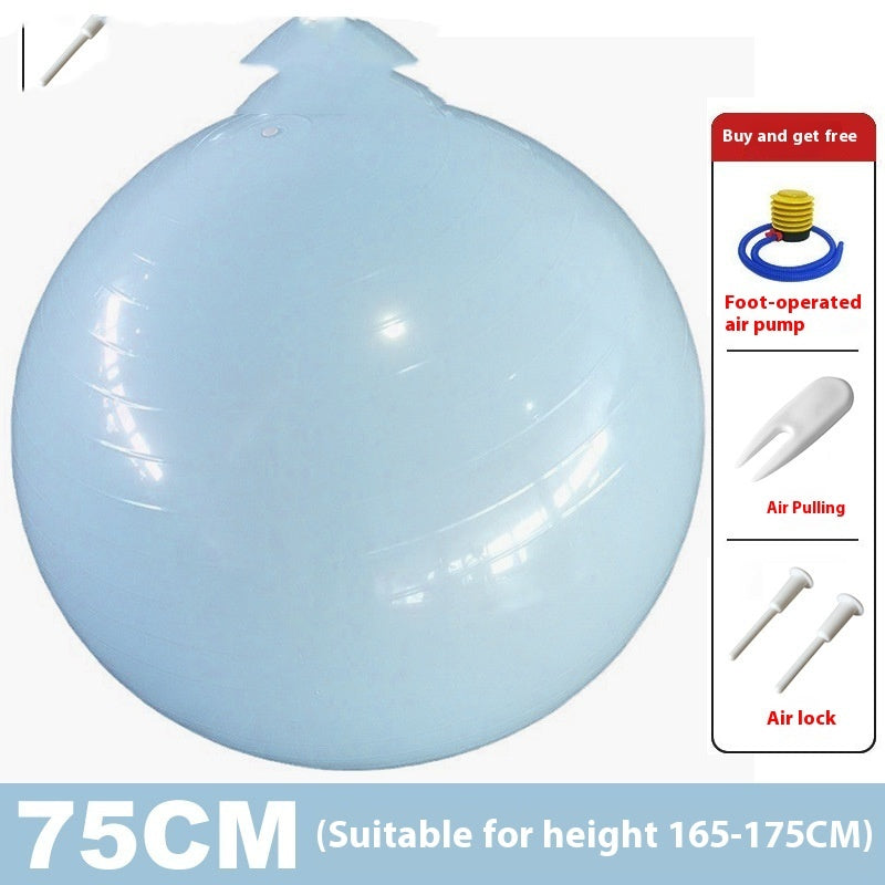 GetActive Exercise Ball 55cm | Anti-Burst Fitness & Stability Training
