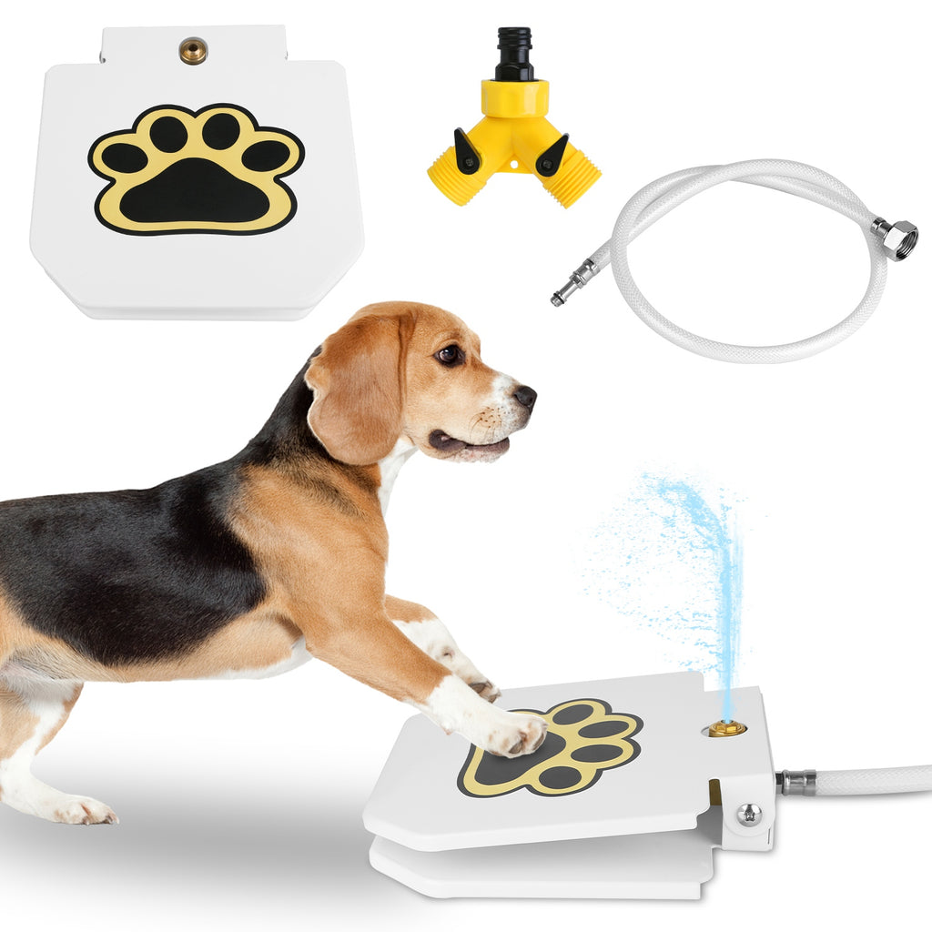 White dog water fountain with paw-print pedal, dog pressing it