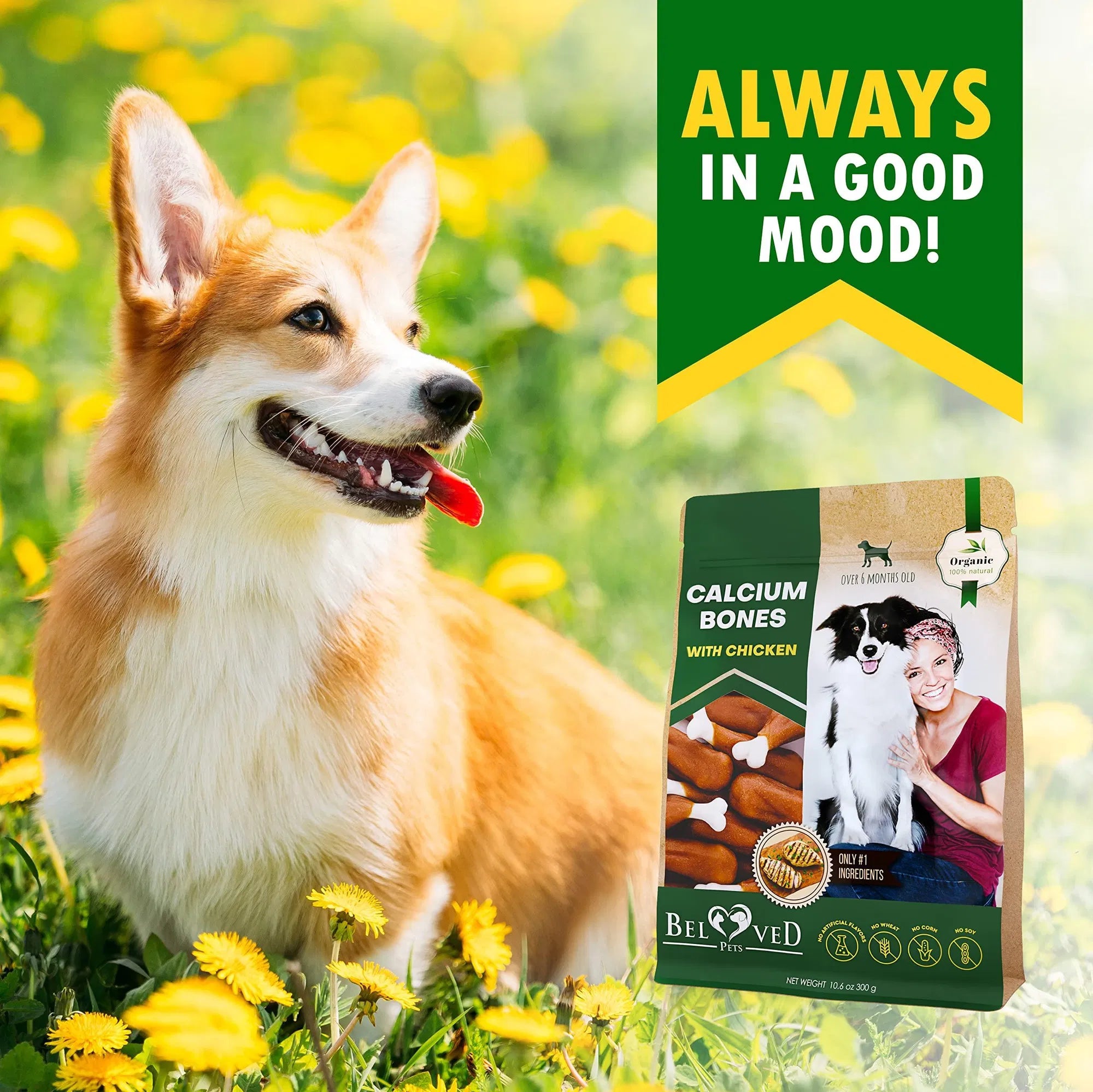 Beloved Pets calcium bones with chicken dog treat pouch with bone-shaped chews