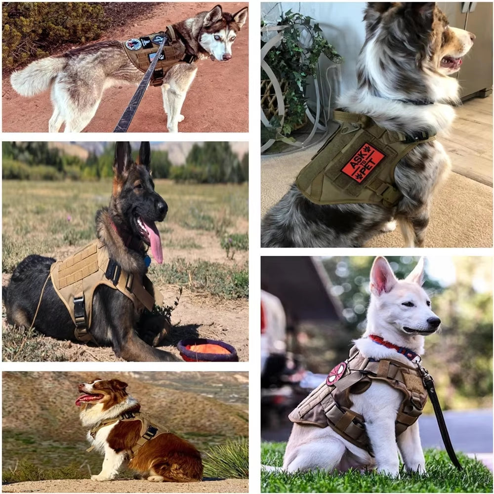 Camouflage dog harness and leash set on dogs, padded tactical vest style