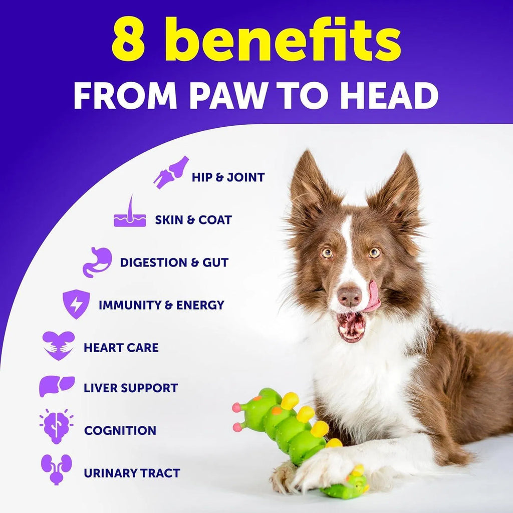 Dog with multivitamin 8 benefits icons: hip & joint, skin & coat, digestion, immunity, heart