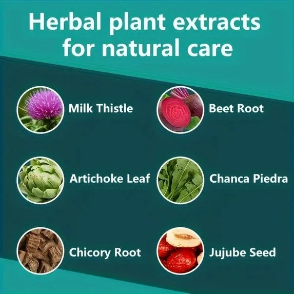 Herbal plant extracts icons: milk thistle, beet root, artichoke leaf, chanca piedra
