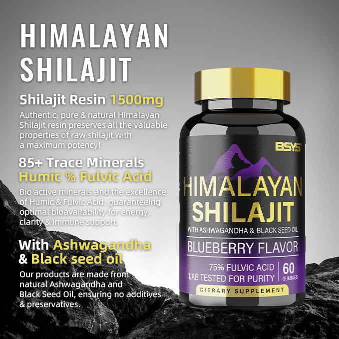 Himalayan shilajit supplement bottle with gold cap, blueberry flavor, 60 gummies