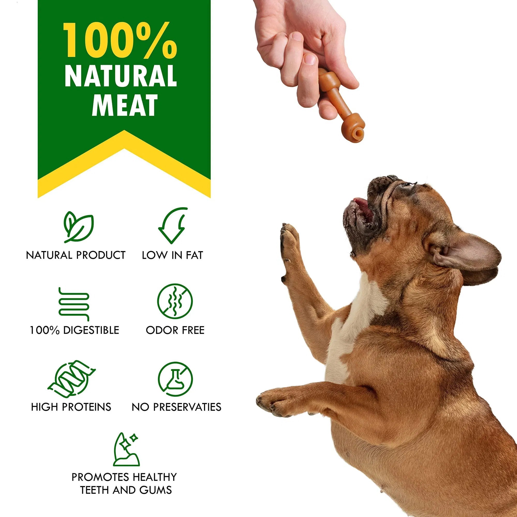 Hand holding a peanut butter dog bone chew while a dog reaches for it