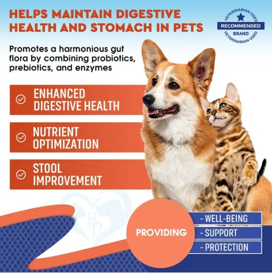 Probiotic & prebiotic benefits infographic for dogs and cats