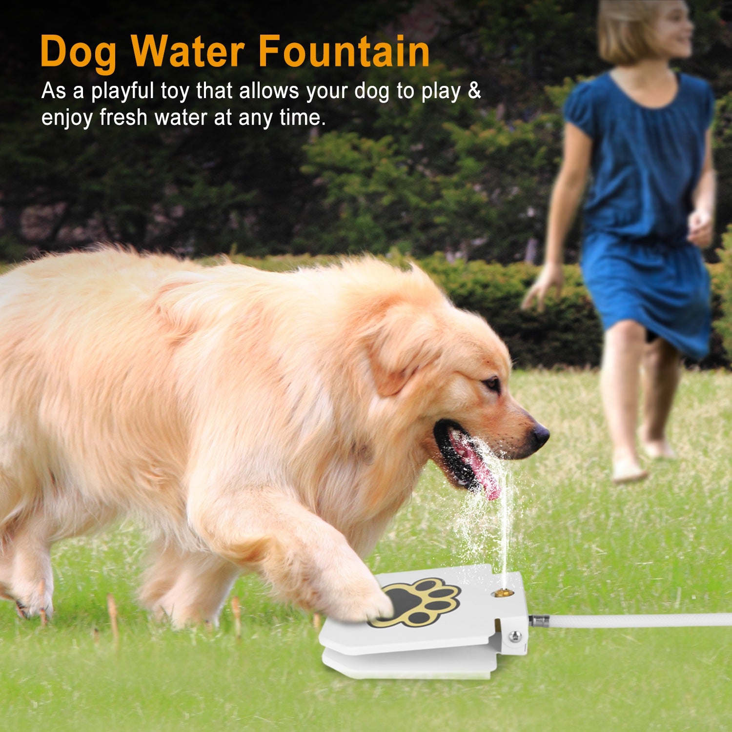 White dog water fountain pedal with paw-print graphic, water flowing near dog