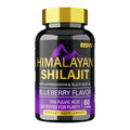 Himalayan shilajit gummies bottle front label, blueberry flavor, gold cap, 60 gummies