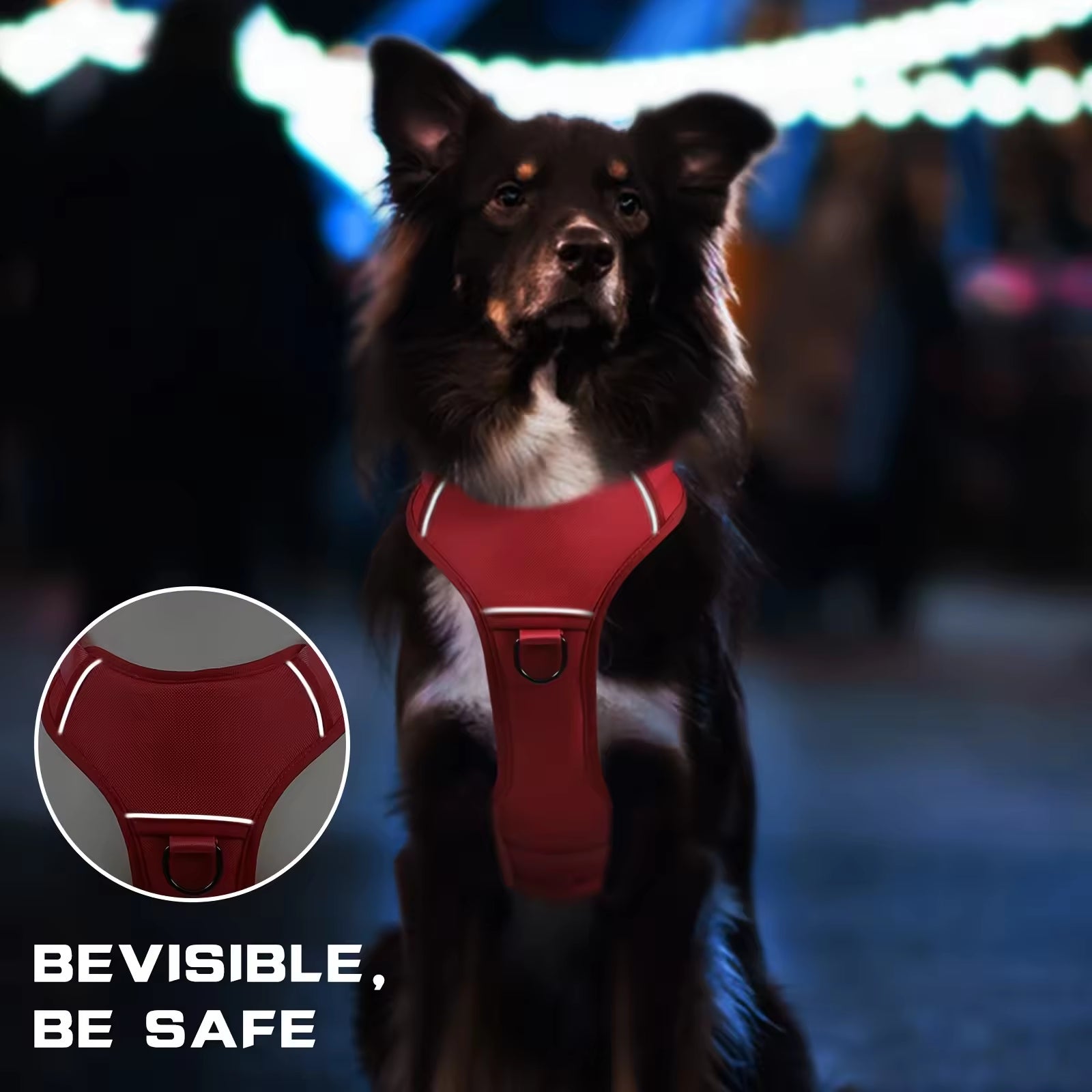 Red tactical dog harness vest on a standing dog with front leash attachment