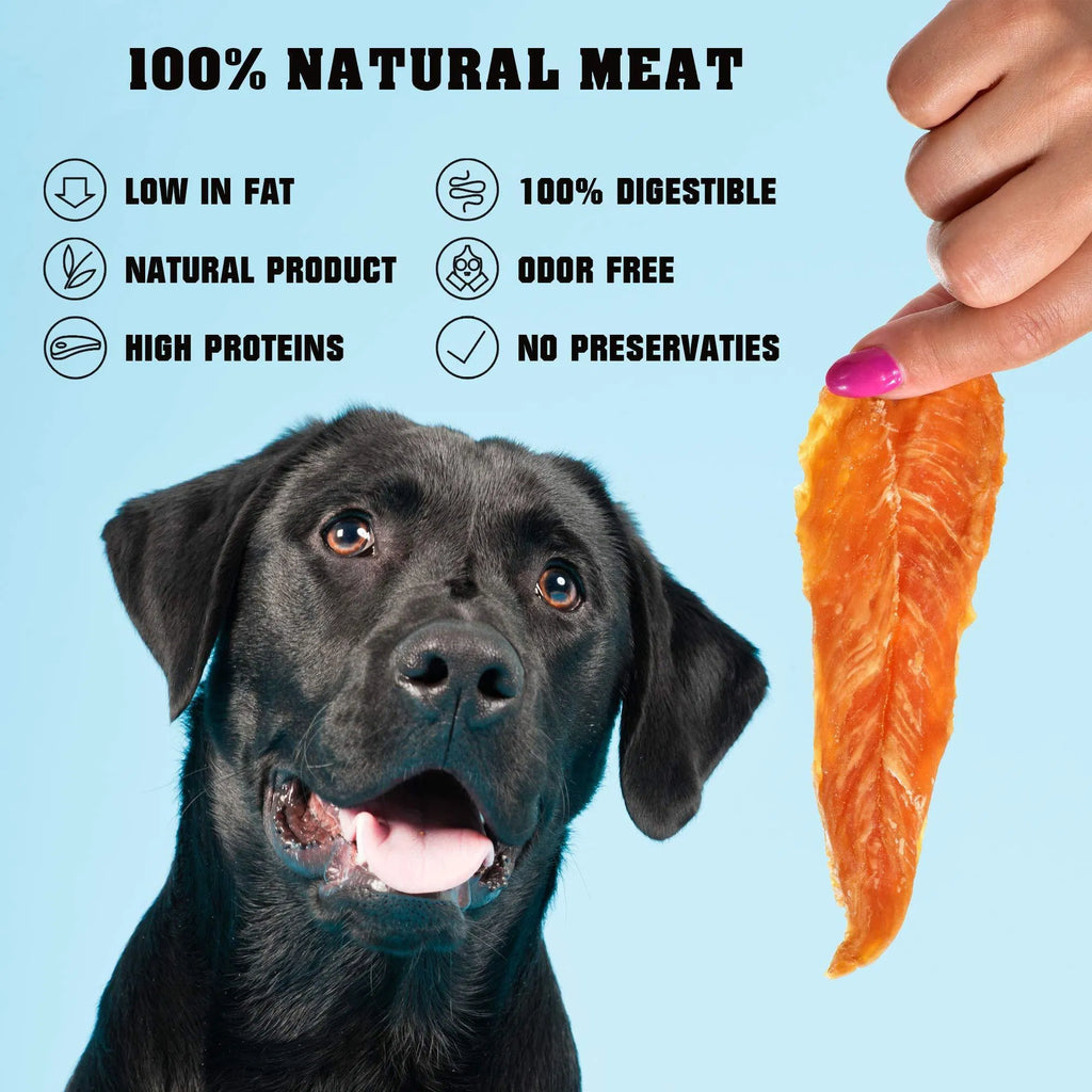Orange chicken jerky slice held near a dog; 100% natural meat feature text