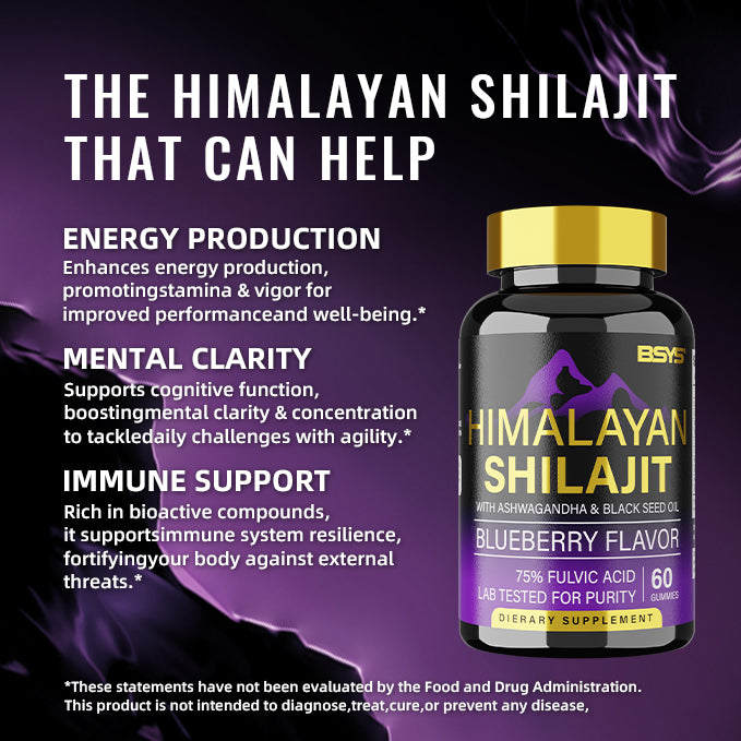 Himalayan shilajit blueberry flavor bottle with gold cap on a purple wellness graphic