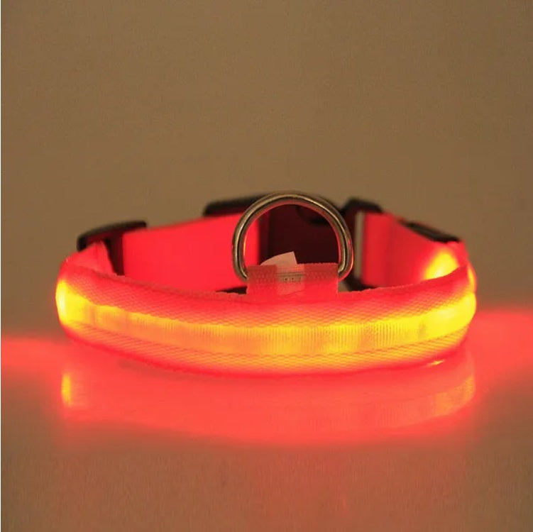 Red LED pet safety collar with bright orange-red glow and metal D-ring