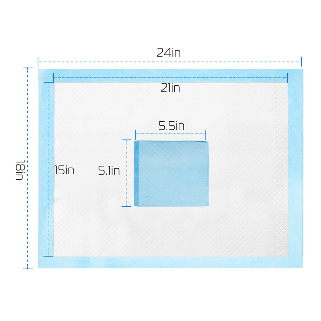 Size diagram for 24in x 18in training pad, blue outline and inner measurements