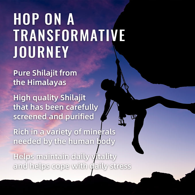 Shilajit supplement promotional graphic with a silhouetted traveler on a rocky ridge