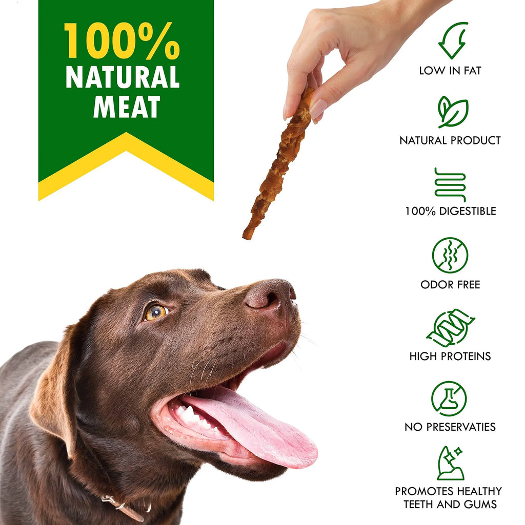Hand holding a smoked rawhide stick above a dog’s mouth; natural chew icons
