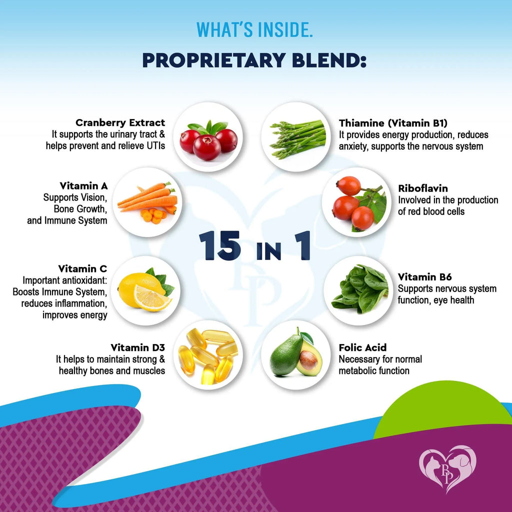 15-in-1 multivitamin proprietary blend overview with ingredient icons and benefits text