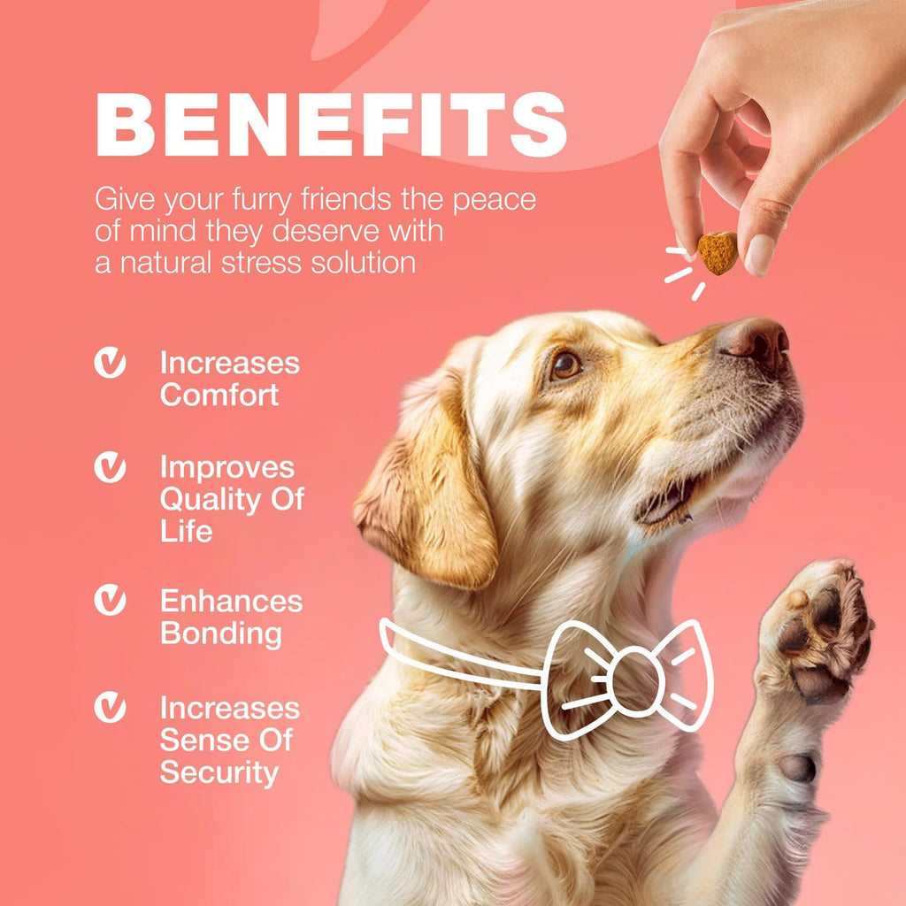 Hand feeds a brown soft chew to a dog for flea & tick prevention