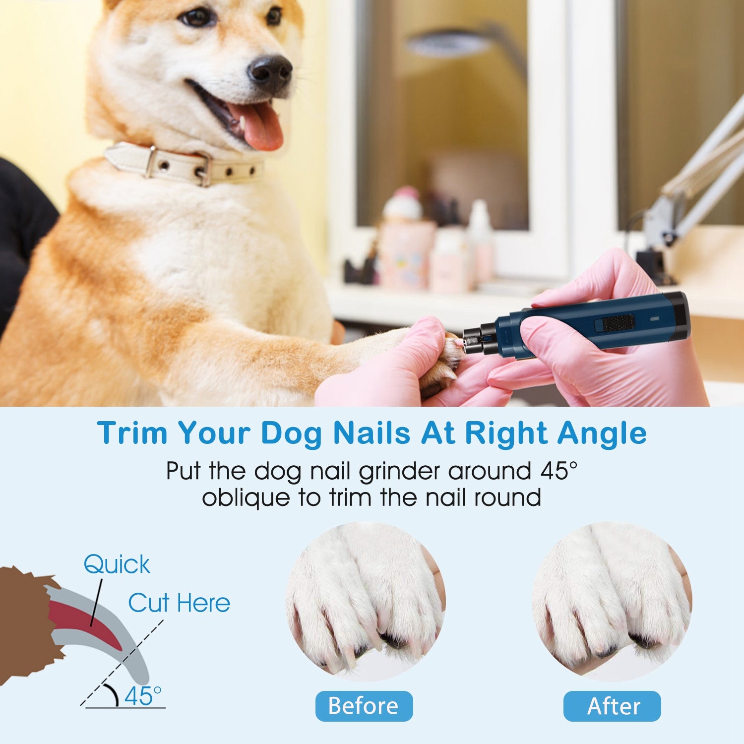 Blue dog nail grinder trimming a dog’s paw nail; held by hands
