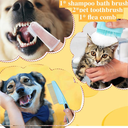 Blue pet grooming brush, flea comb, and toothbrush for cleaning during bath