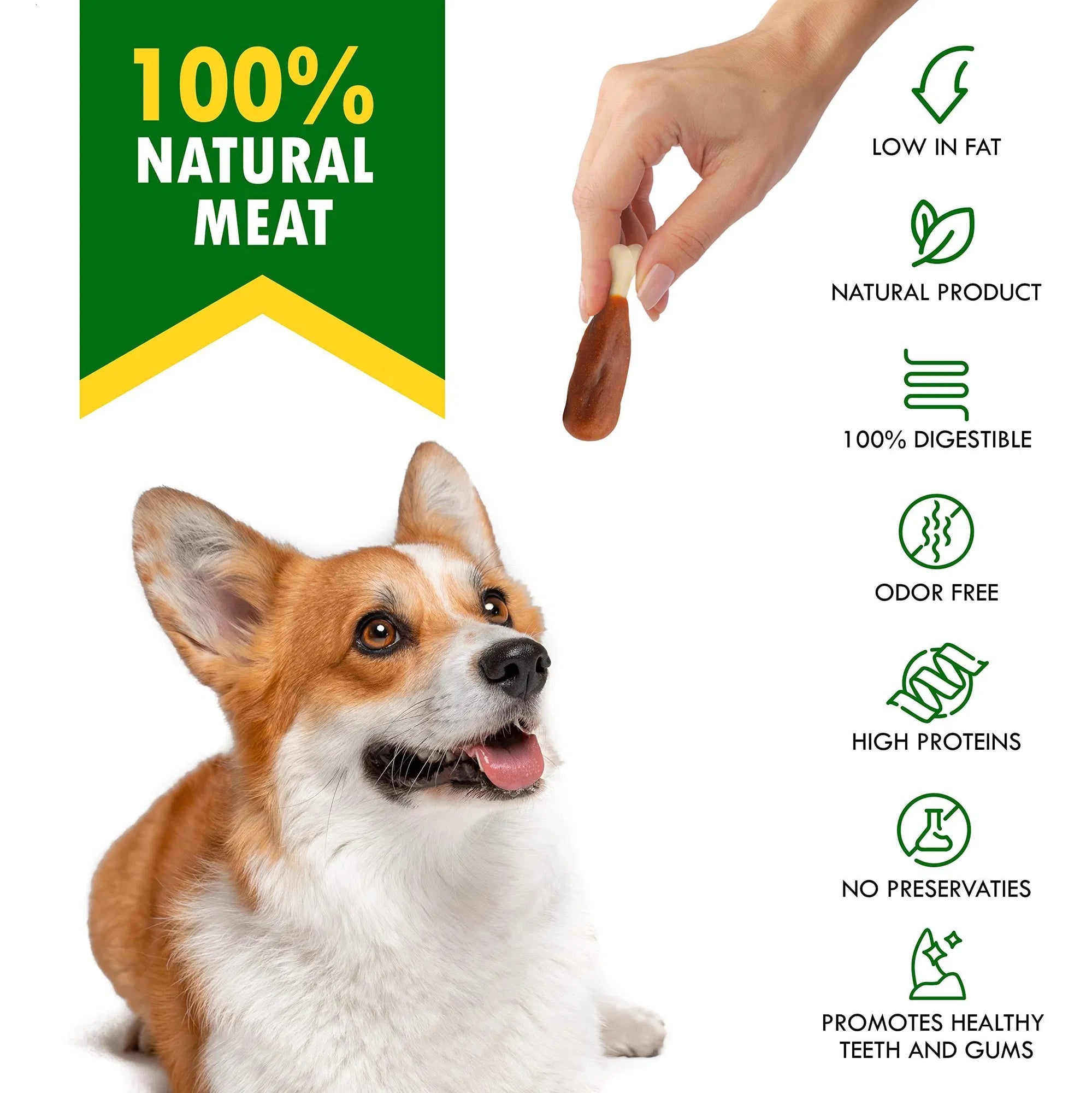 Hand placing brown bone chew; low-fat natural meat, odor-free, high-protein dog treats