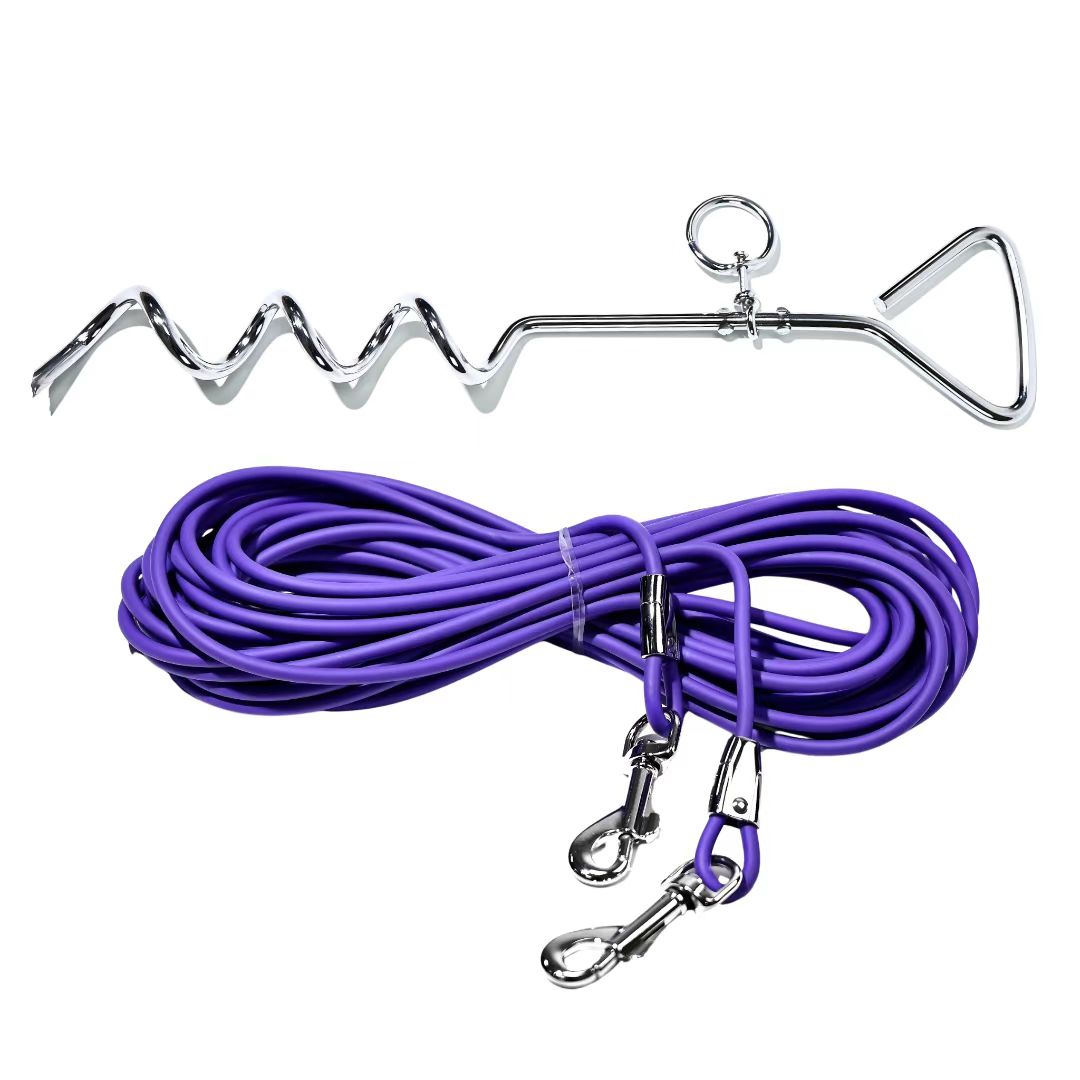 Purple spiral ground stake dog tie-out with coiled leash rope and dual snap hooks