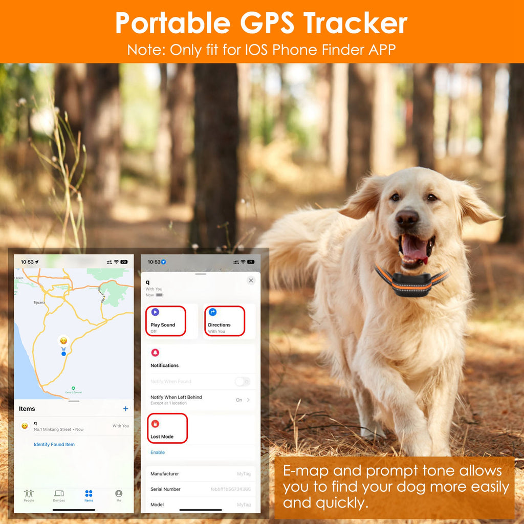 Dog wearing a black GPS tracker collar with orange striped woven strap and display receiver