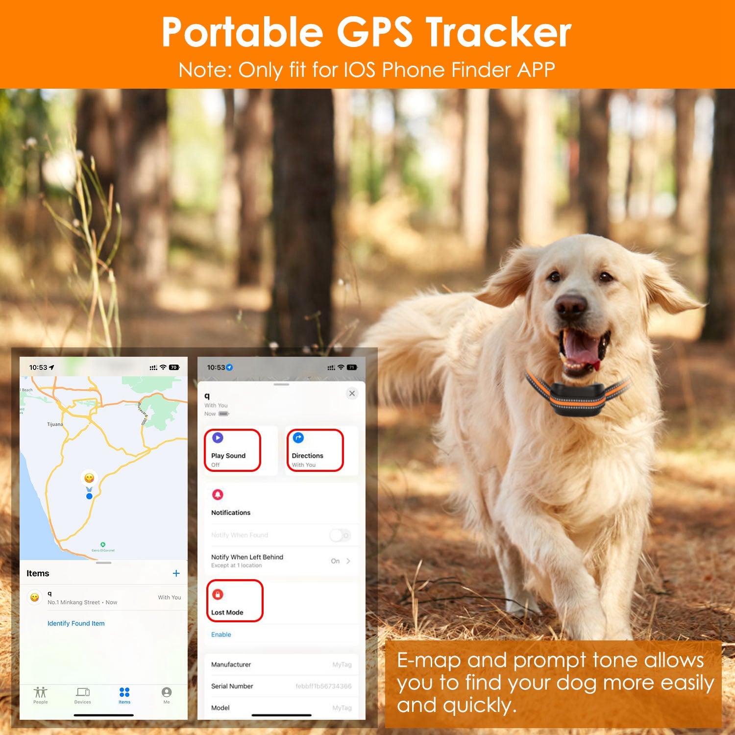 Dog wearing a black GPS tracker collar with orange striped woven strap and display receiver