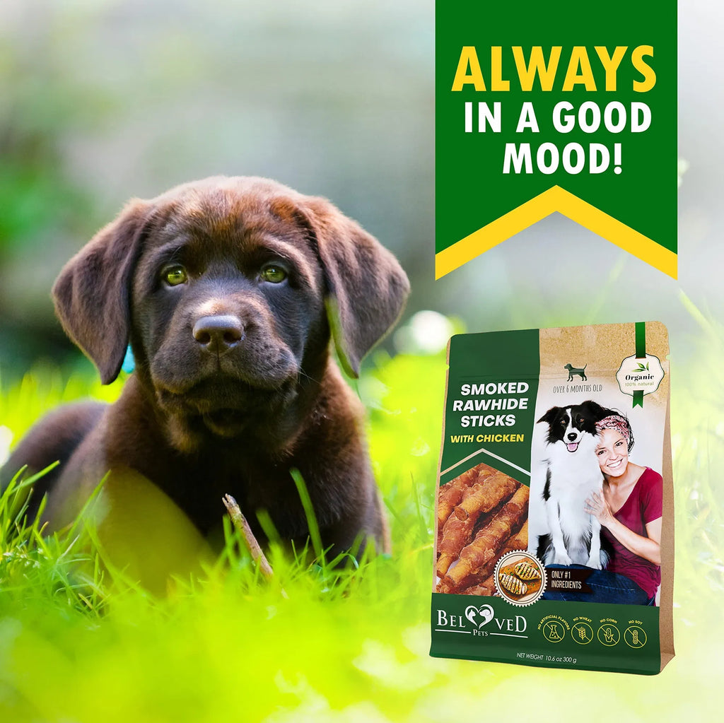 Dark-brown puppy beside smoked rawhide sticks with chicken chew bag
