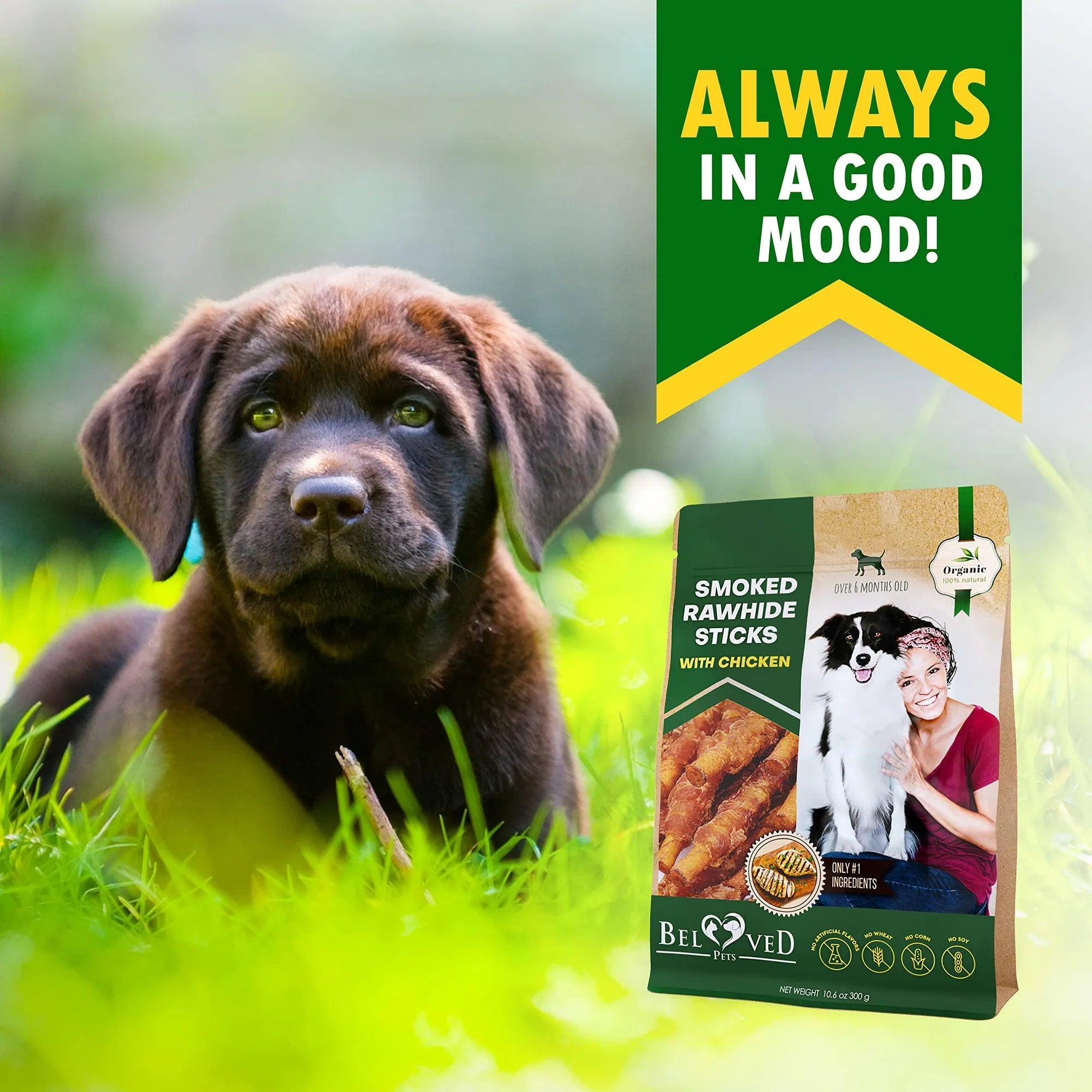 Dark-brown puppy beside smoked rawhide sticks with chicken chew bag