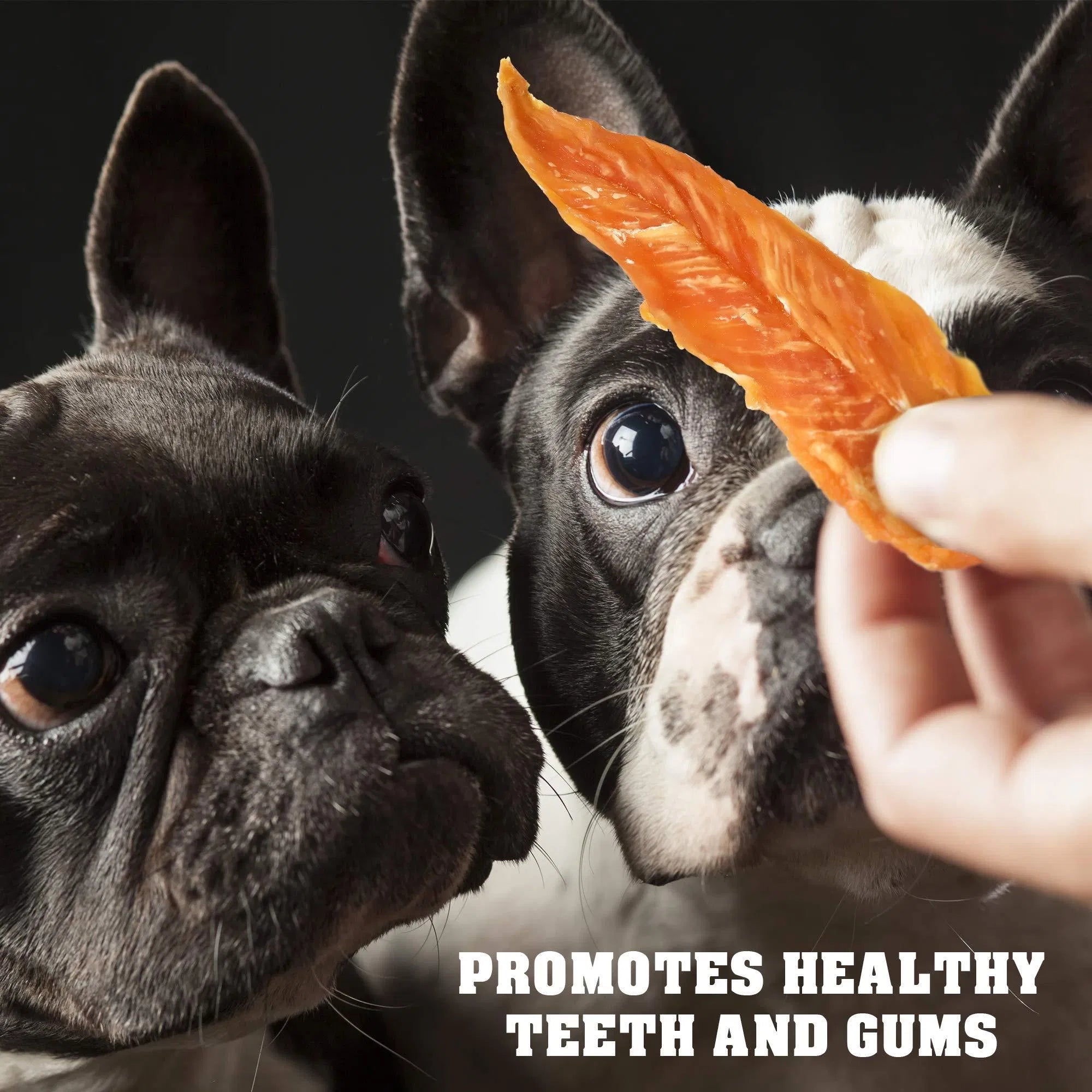 Chicken jerky slice offered to two dogs; text reads promotes healthy teeth and gums
