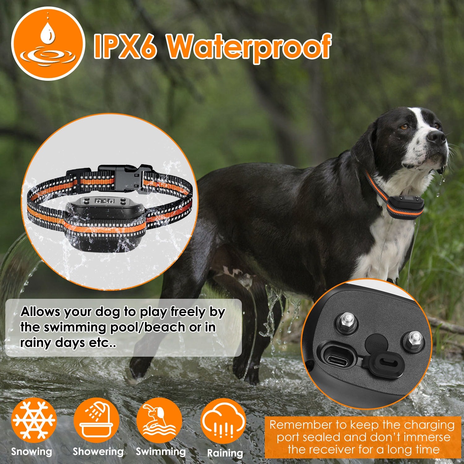 Waterproof GPS dog fence collar on a dog: black receiver and orange-striped woven strap