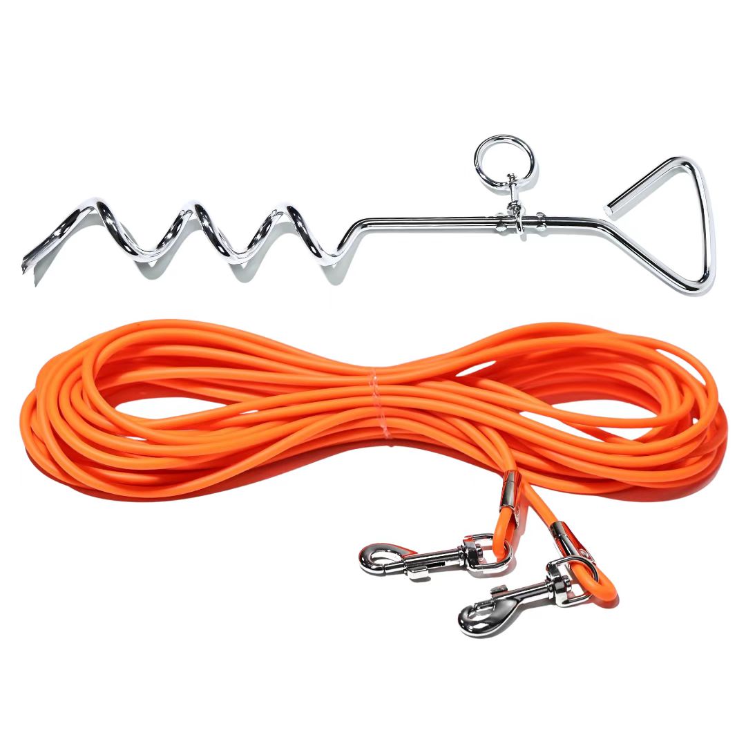 Orange ground stake dog tie-out leash with spiral anchor and two metal snap hooks