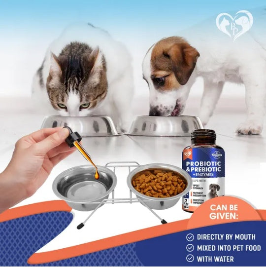 Pet probiotic bottle with dropper and feeding bowl shown