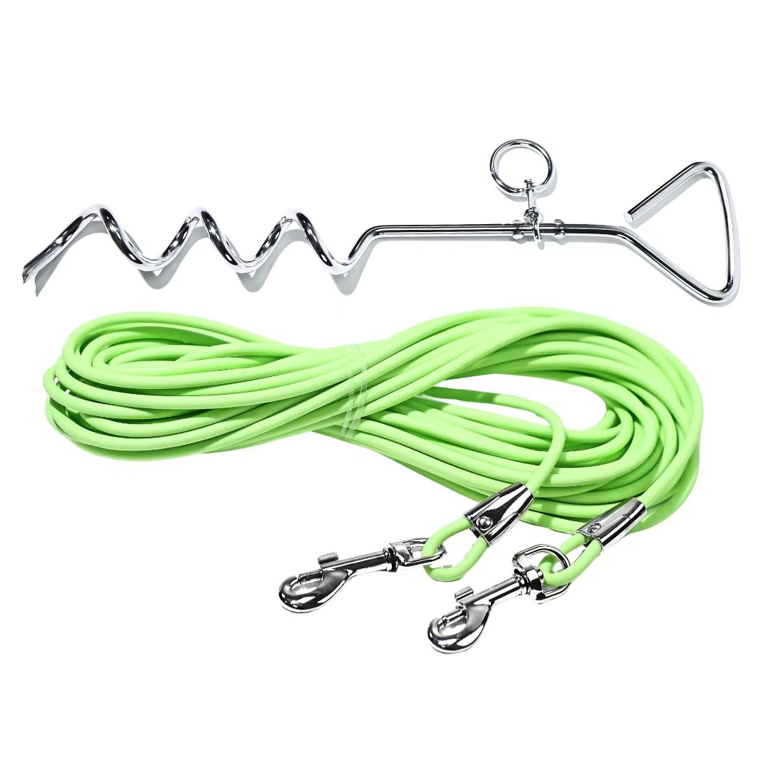 Green coiled dog tie-out leash with spiral ground stake and twin metal snap hooks