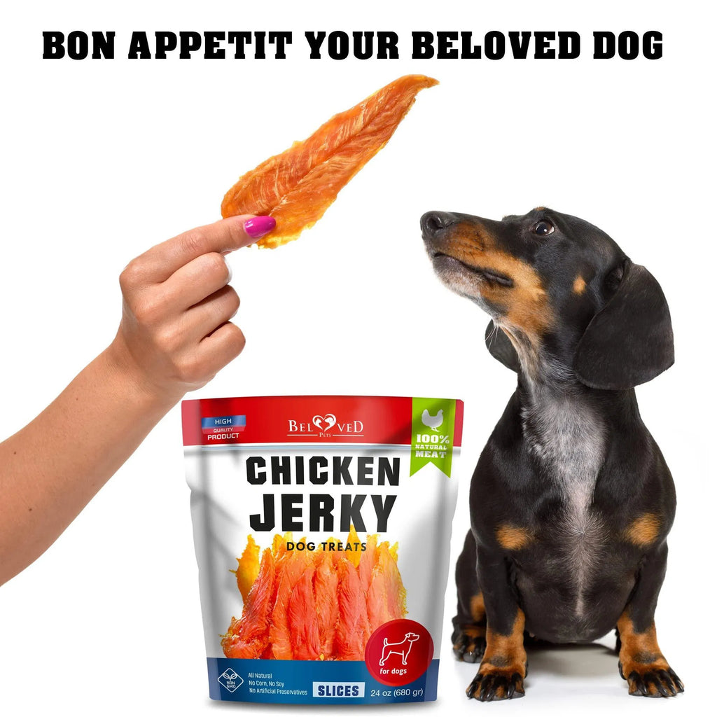 Chicken jerky slices dog treat held in hand with dog looking at the treat